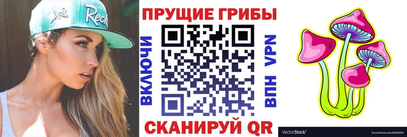 Псилоцибиновые грибы прущие грибы закладки Сретенск